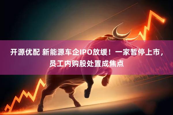 开源优配 新能源车企IPO放缓！一家暂停上市，员工内购股处置成焦点