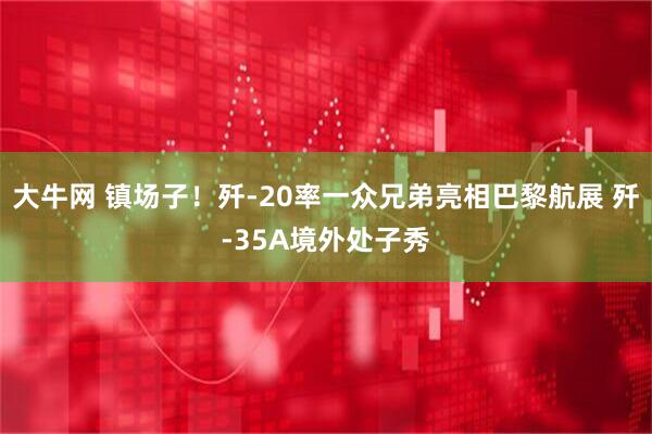 大牛网 镇场子！歼-20率一众兄弟亮相巴黎航展 歼-35A境外处子秀
