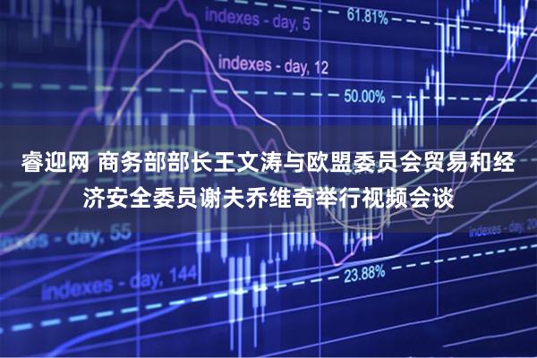 睿迎网 商务部部长王文涛与欧盟委员会贸易和经济安全委员谢夫乔维奇举行视频会谈