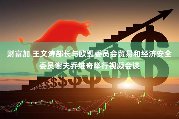 财富加 王文涛部长与欧盟委员会贸易和经济安全委员谢夫乔维奇举行视频会谈