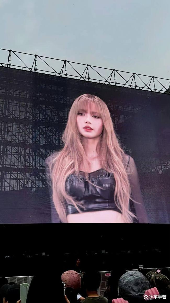 Lisa丟掉粉丝送的Labubu 发现是labubu后嫌弃丢掉