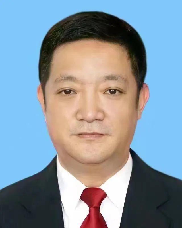 杨维林任公安部副部长