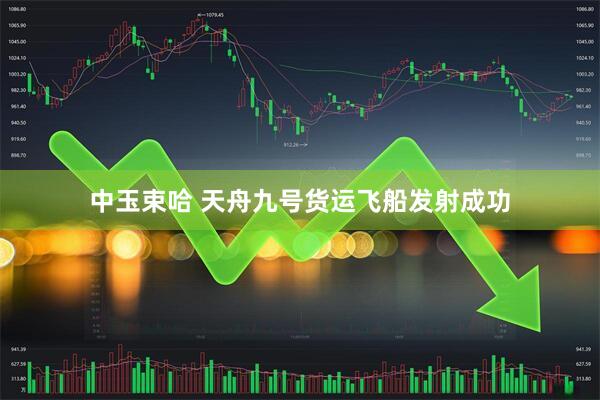 中玉束哈 天舟九号货运飞船发射成功