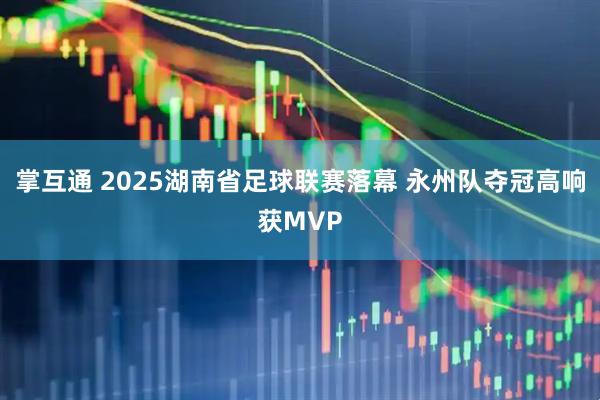 掌互通 2025湖南省足球联赛落幕 永州队夺冠高响获MVP
